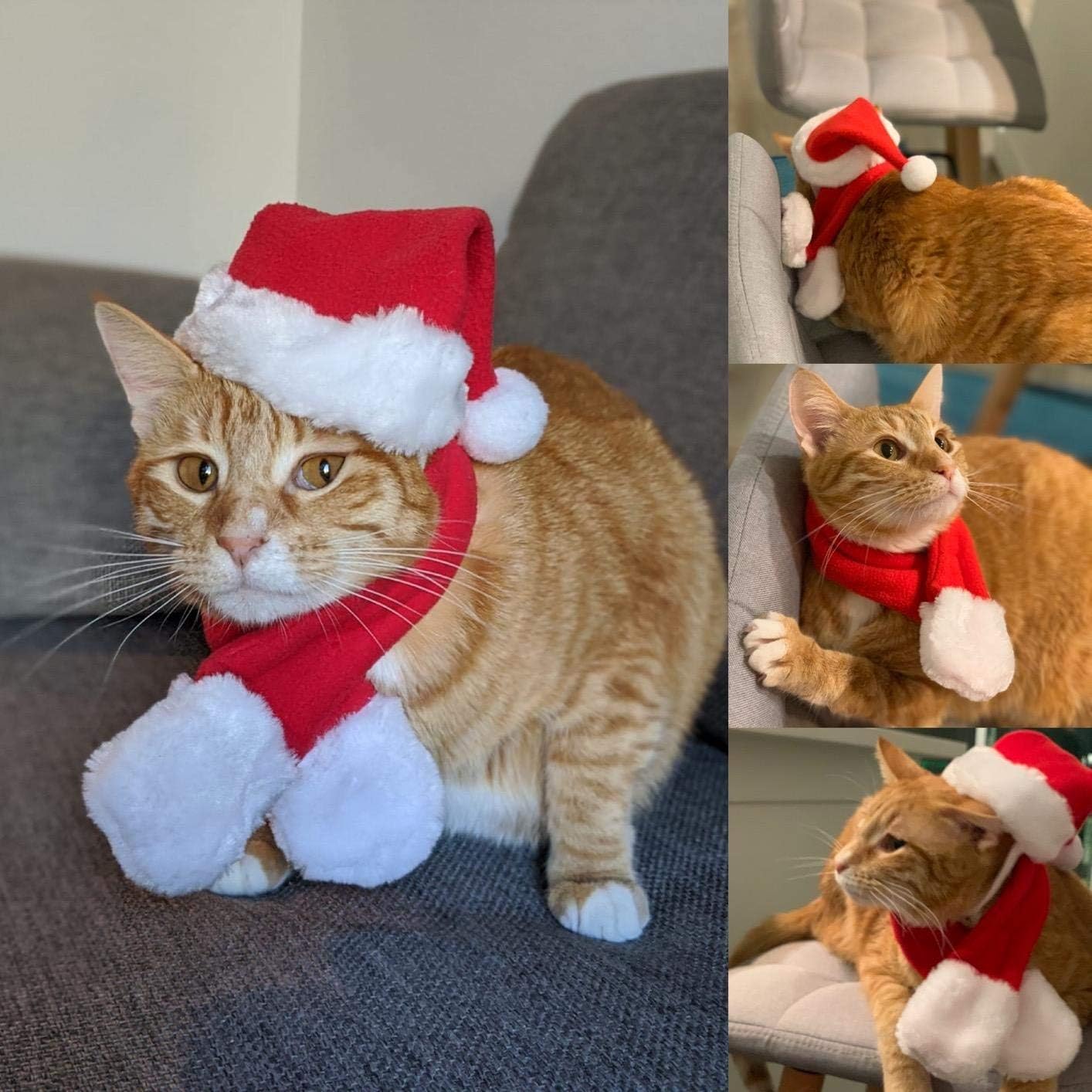 Christmas Outfit, Hat & Scarf Set for Pets