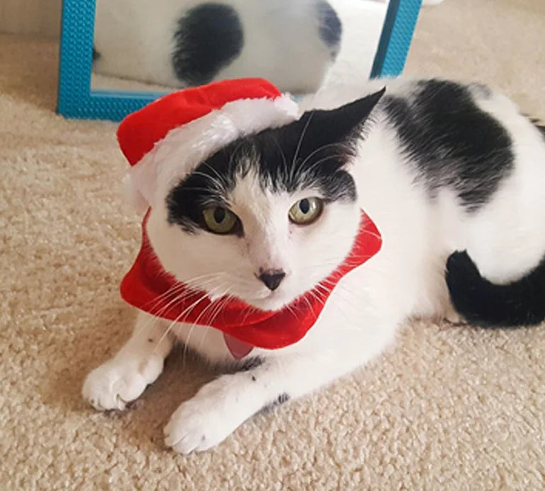 Christmas Outfit, Hat & Scarf Set for Pets