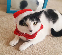 Christmas Outfit, Hat & Scarf Set for Pets
